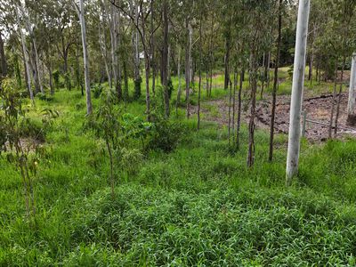 Lot 921, Bulankoff Road, Tolga