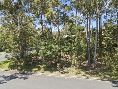 55 Leo Drive, Narrawallee