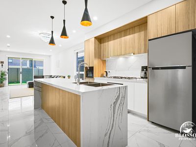 29 Salix Crescent, Marsden Park