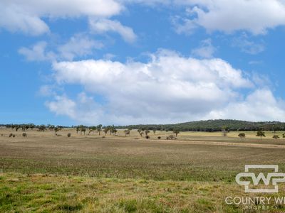Lot Plain View South, 916 Emmaville Road, Glen Innes