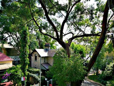 5 Great Thorne Street, Edgecliff