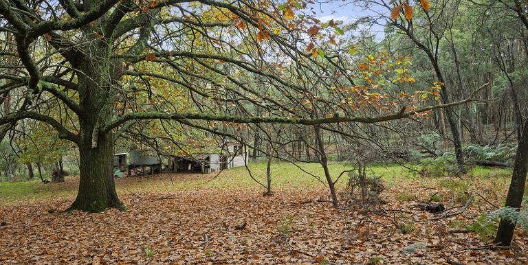 Lot 1 & 2 McCombes Road, Creek Junction