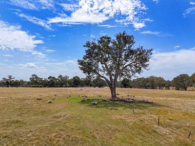 Glenelg Highway, Bochara