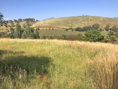 7 Rodd Street, Carcoar