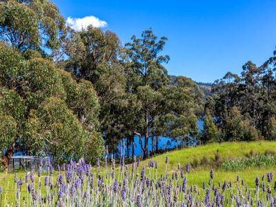 139 Narrows Road, Strathblane