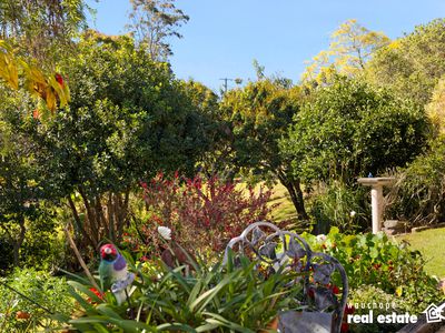 64 Koree Island Road, Beechwood