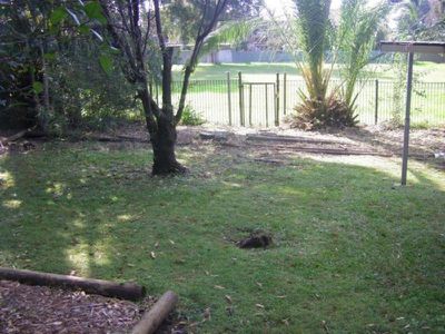 23 Jutland Avenue, Coniston
