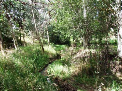 Lot 11, Fiddleback Drive, Tawonga South
