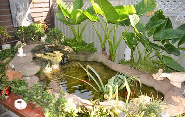 59 Tradewinds Avenue, Summerland Point