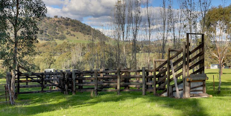1751 Euroa Mansfield Road, Euroa