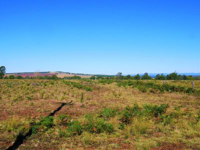 Kingaroy