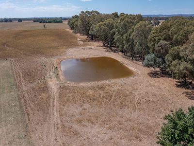 1047 Great Alpine Road, Tarrawingee