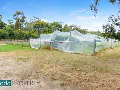 91 Tehan Court, Heathcote