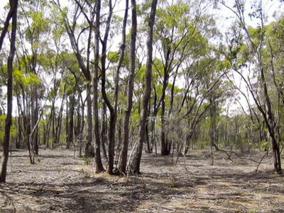 Lot 8, 1500 Sheldons Road, Myers Flat