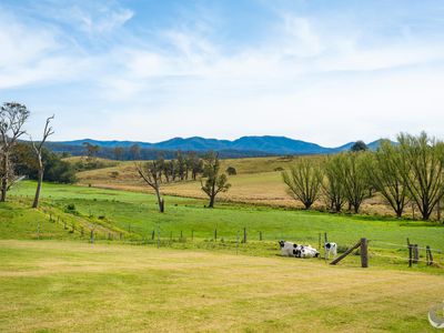 149 Eurobodalla Road, Bodalla