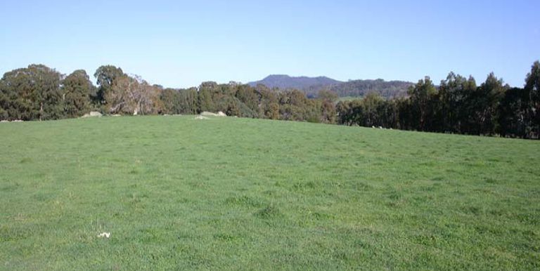 Strathbogie