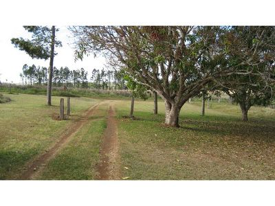 45 Curtain Fig Tree Road, Yungaburra