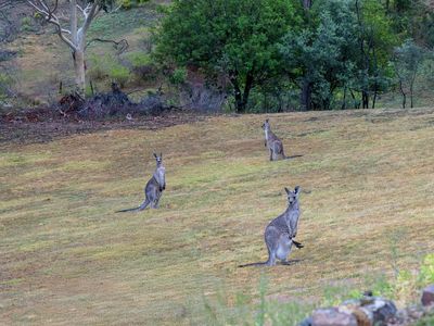 189 Star of the Glen Road, Bonnie Doon