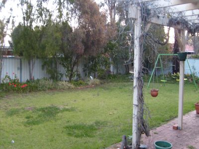 127 Birch Avenue, Dubbo
