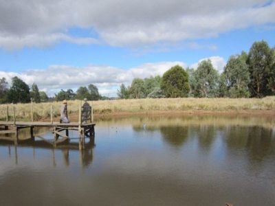 149 Mt Battery Road, Mansfield