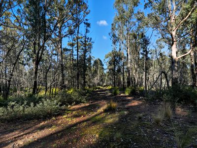 123 Lake View Road, Lake Leake