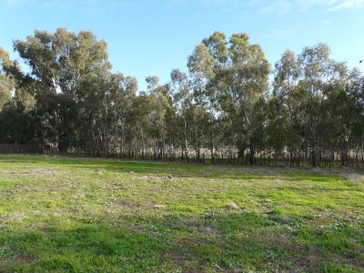 Lot 50, Marion Drive, Tocumwal