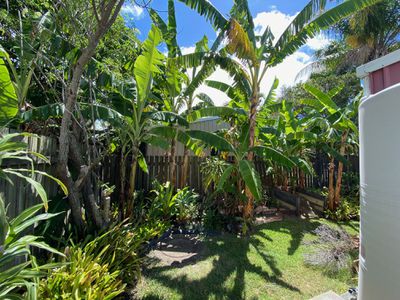 41 Hansen Street, Urangan