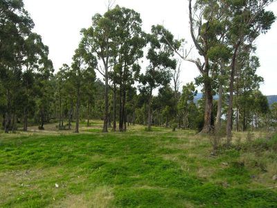 O'Hallarans Road, Geeveston