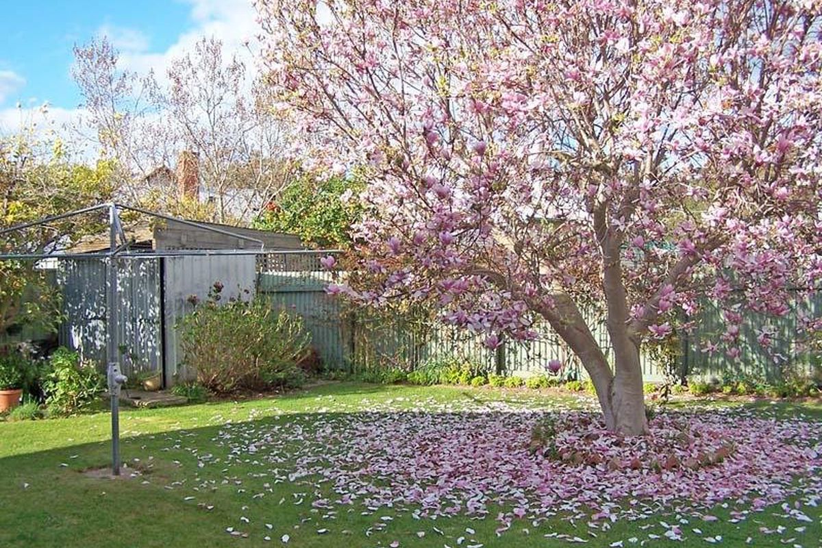 2 Mackie Street, Kyabram