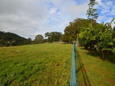 223 Walli Mountain Road, Kenilworth