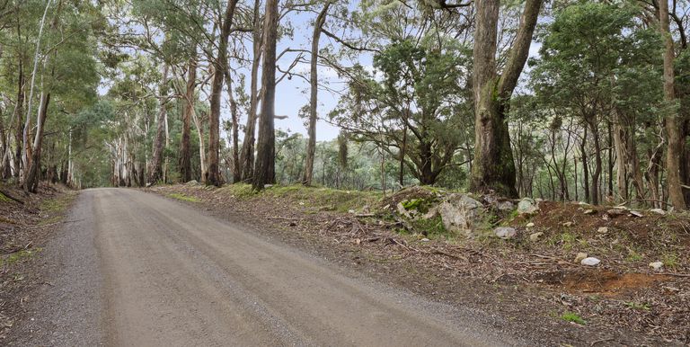 Lot 1 & 2 McCombes Road, Creek Junction