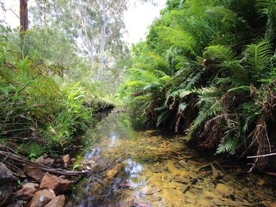 313 Back Creek Road, Lochiel