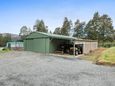 1010 Halls Track Road, Pelverata