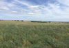 ‘Terutani’ 1097 Davys Plains Road, Cudal