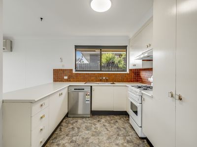 53 Merino Street, Harristown
