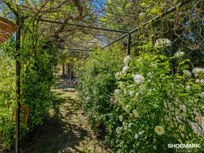 11210 Nerriga Road, Braidwood