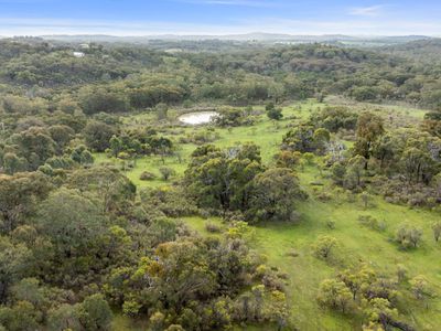 110 Daisyburn Road, Hilldene