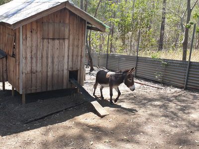 67 Pine Mountain Quarry Road, Pine Mountain