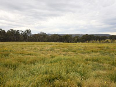 482 BEECHWORTH-CHILTERN ROAD, Beechworth