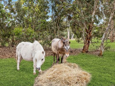 49 Kangaroo Reef Road, Mylor