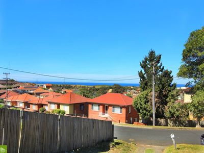 71 Donaldson Street, Port Kembla