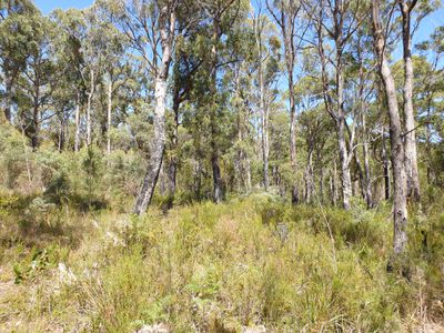 Lot 23 Turn Creek Road, Grove