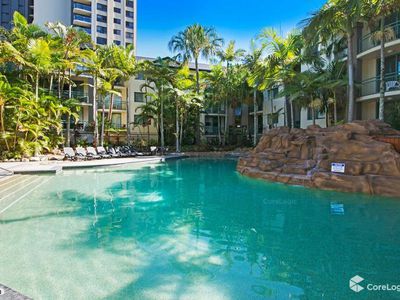 10 / 955 GOLD COAST HWY, Palm Beach