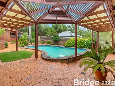 16 John Cleland Drive, Beaumont