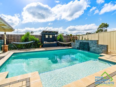 17 Cedar Wattle Place, Narellan Vale