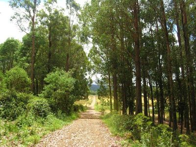 Braeside Road, Franklin