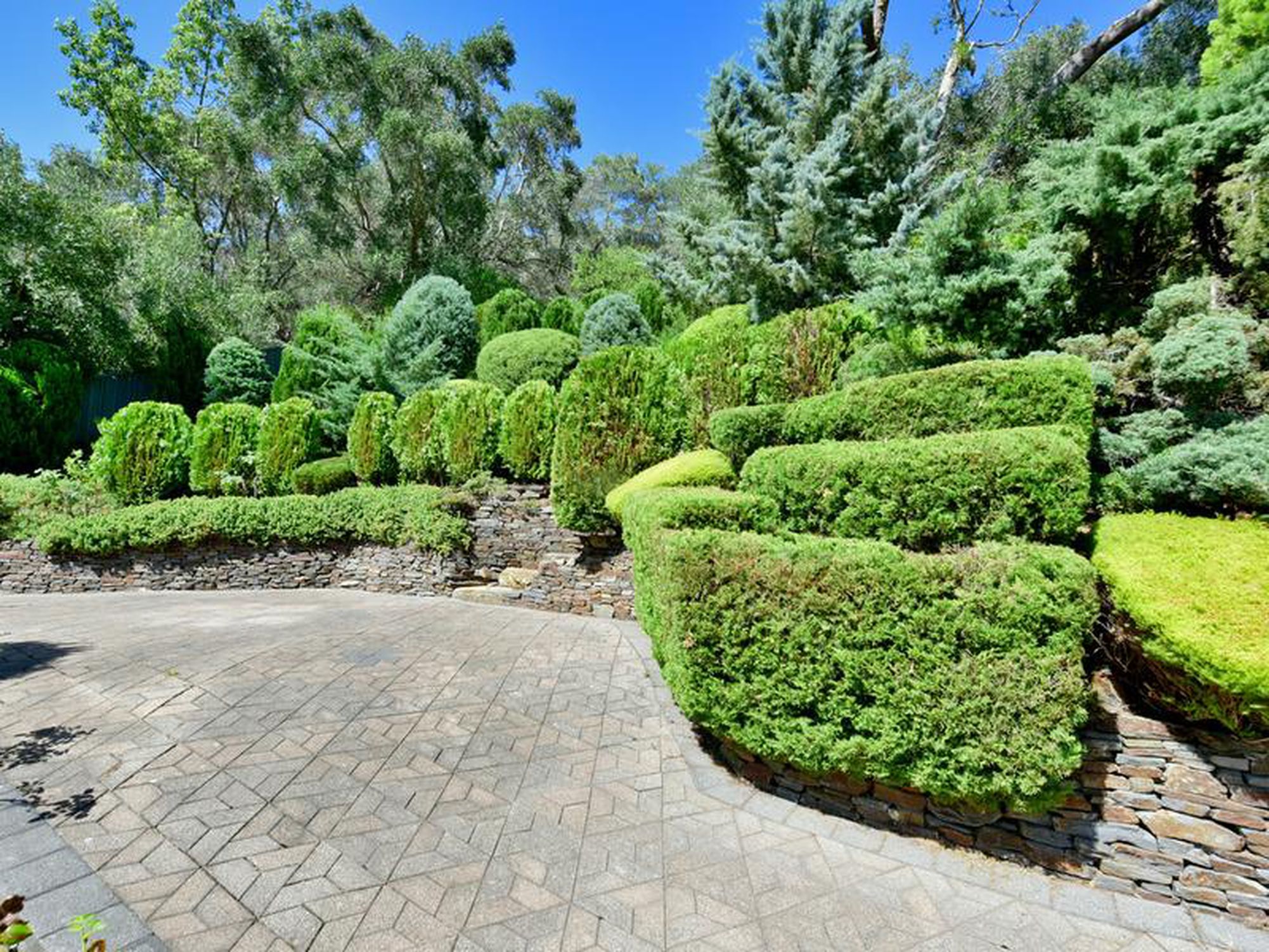 22 Wyfield Street, Wattle Park