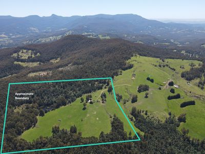Lot 1 (99 Acres), Coal Mine Road, Kaoota
