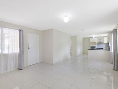 3 Linum Street, Kingston