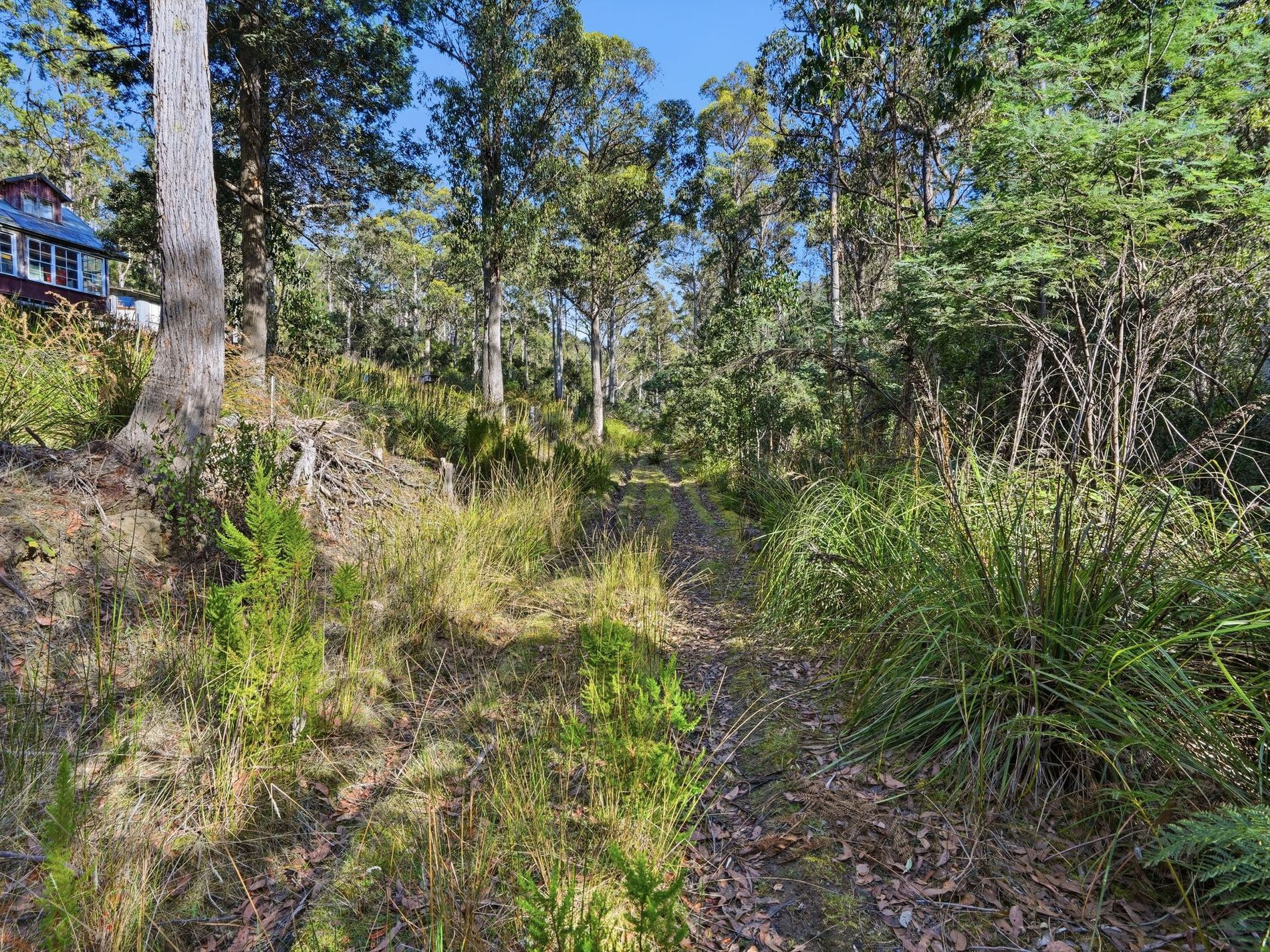 111 Underwoods Road, Nicholls Rivulet
